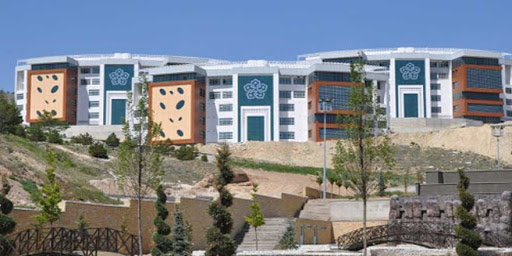 Üniversiteye öğretim üyesine alınacak… Üniversiteye öğretim üyesine alınacak…