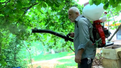 Durdurulamıyor! Mahallede her yeri sardılar