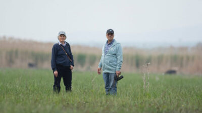 Bursa’da tarımın gelişmesi için radikal öneri