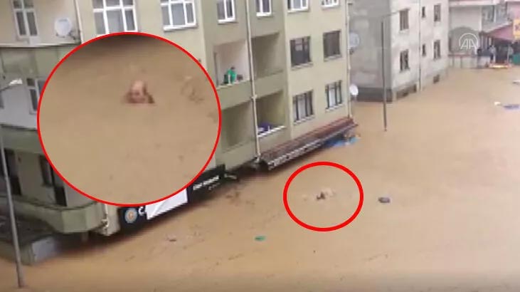 Artvin’de boğulmak üzere olan çift böyle kurtarıldı