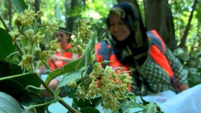 Bursa’da yüzleri güldürecek proje