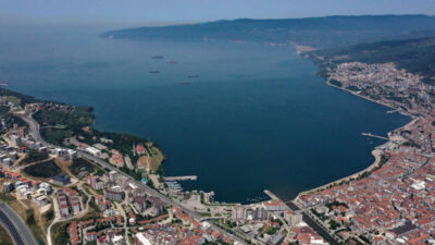 Bursa kıyılarından güzel haber