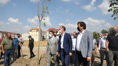 251 şehit anısına 251 ağaç toprakla buluştu