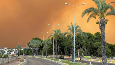 Orman yakmak için Bursa’da keşif yapan PKK’lılar yakalandı