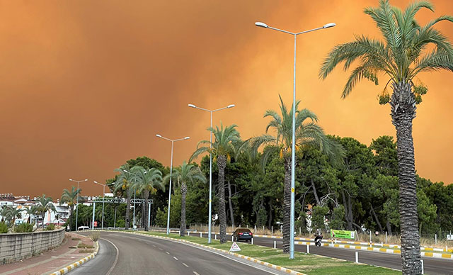 Orman yakmak için Bursa’da keşif yapan PKK’lılar yakalandı Orman yakmak için Bursa’da keşif yapan PKK’lılar yakalandı