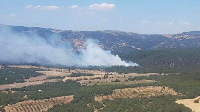 Manisa’da orman yangını