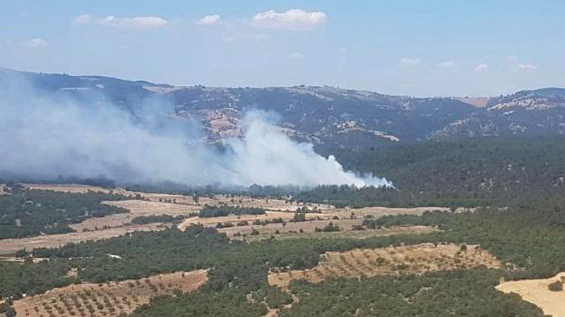 Manisa’da orman yangını Manisa’da orman yangını