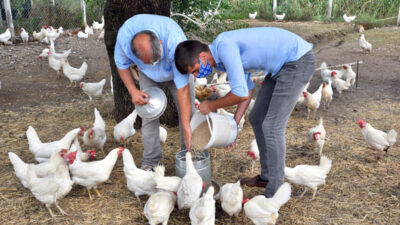 Bursa’da çaresizlik üretimle umuda dönüşüyor