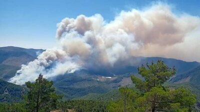 3 ilde orman yangını