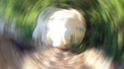 Kaybolan küçük kızın feci sonu