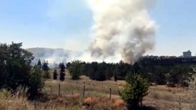 Atatürk Orman Çiftliği arazisinde yangın: 1 gözaltı var