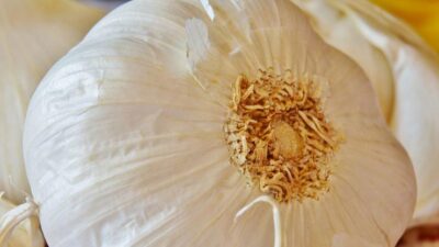 Süte sarımsak koyup içerseniz bakın ne oluyor!