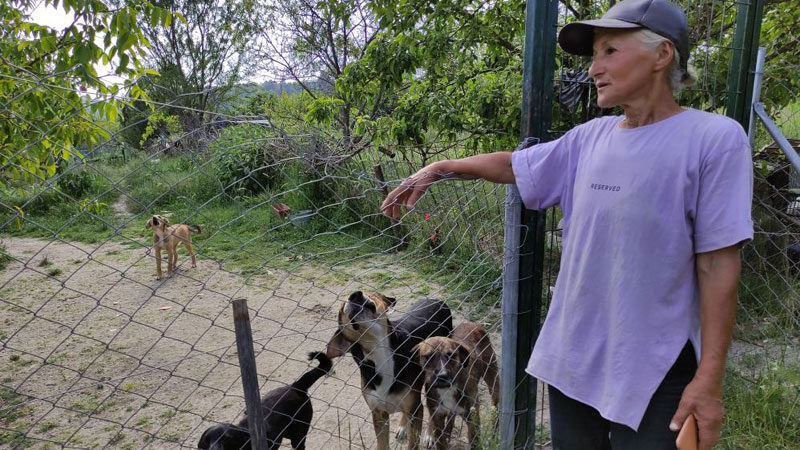 Bursa’da vahşet! 4’ü öldü, 7’si can çekişiyor Bursa’da bir hayvanseverin çiftliğinde baktığı engelli ve hasta köpekler zehirlendi.