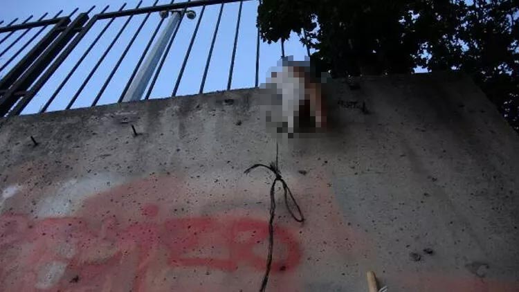 Böyle canilik görülmedi! Vatandaşlar şoke oldu Böyle canilik görülmedi! Vatandaşlar şoke oldu