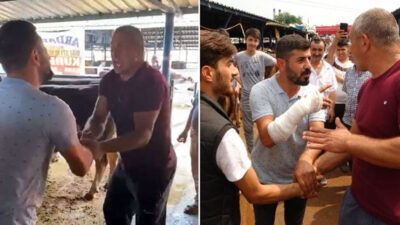 Yer: Bursa… Kurbanlık pazarlığı sırasında kolu çatladı