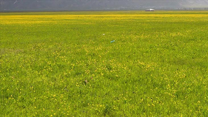 Büyük ova koruma alanı sayısı 429’a ulaştı