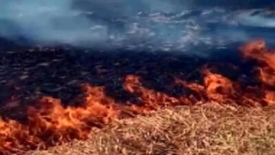 Kopan elektrik telleri neden oldu! Alev alev yandı