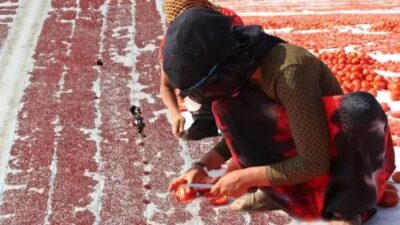 Çöpe gidiyordu şimdi İtalya Almanya Fransa ABD’ye satılıyor