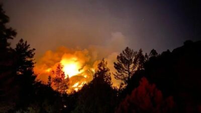 Manavgat’ta yangın felaketi! Bakan acı haberi verdi