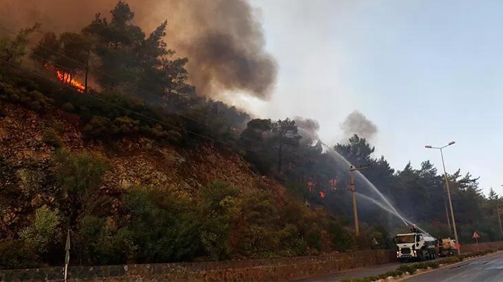 Adana’da 4 ilçedeki 6 noktada orman yangını sürüyor