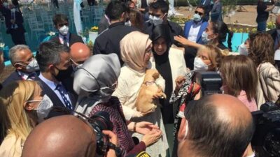 Emine Erdoğan ses telleri kesilen köpeği sanatçı Yonca Evcimik’e emanet etti