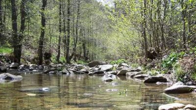 Son dakika! Girişler yasaklandı
