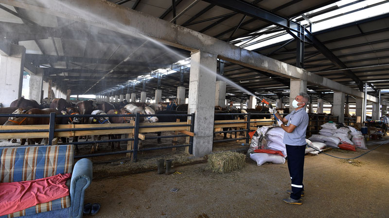 Bursa’da bu ekipten uçan da kaçamıyor Bursa’da bu ekipten uçan da kaçamıyor