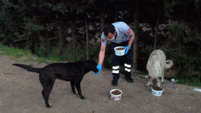 Can dostlar Osmangazi’ye emanet