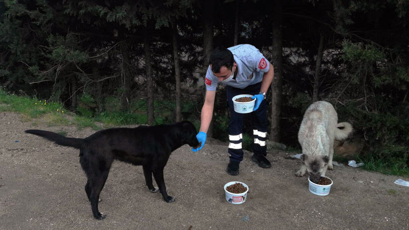 Can dostlar Osmangazi’ye emanet