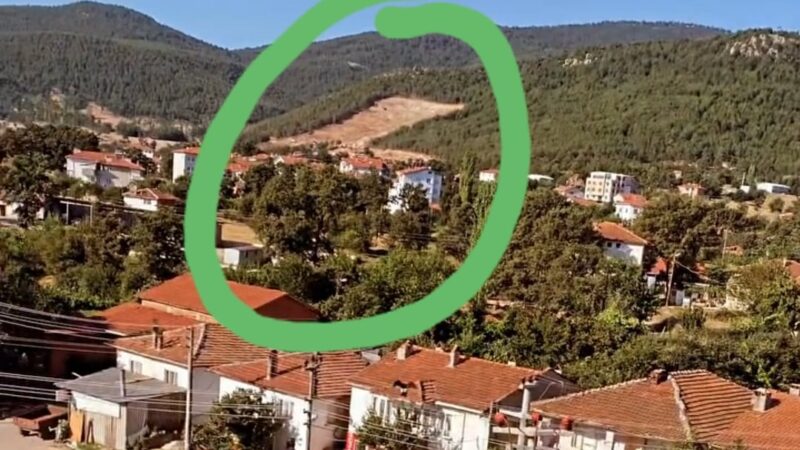 Bursa'nın Büyükorhan ilçesinde resmen traşlanan ağaçlarla ilgili teki var... Olay