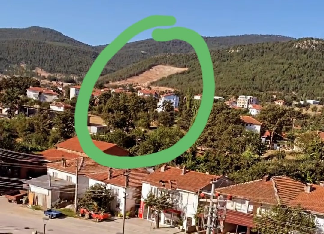 Bursa’da bu ağaçlar neden kesildi? Büyük kuşku var!