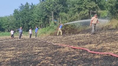 Bursa’da anız yakan çiftçiye 2 bin 800 TL ceza