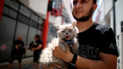 Bursa’da yangında mahsur kalan kedileri itfaiye kurtardı