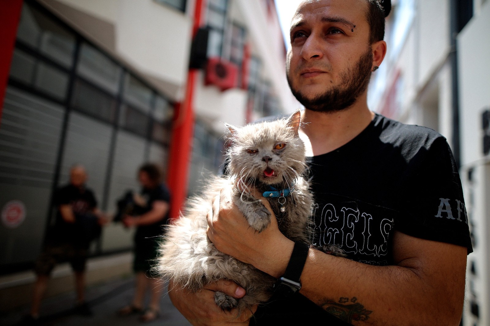 Bursa’da yangında mahsur kalan kedileri itfaiye kurtardı Bursa’da yangında mahsur kalan kedileri itfaiye kurtardı