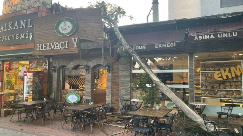 Bursa’da faciadan dönüldü! İznik Kılıçaslan Caddesi’nde asırlık dev çınar ağacından kopan dev dal