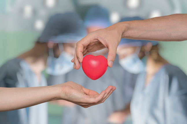 Bursa’da gurur duyulacak birincilik! Bursa’da gurur duyulacak birincilik!