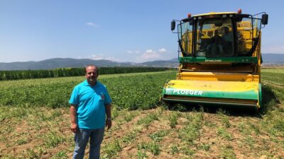 Bursa fasulyesi dünya mutfağında