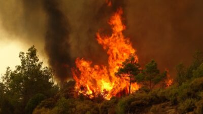 Bursa’da flaş karar! 1 ay süreyle yasaklandı