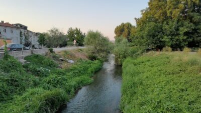 Bursa’da balık ölümleri