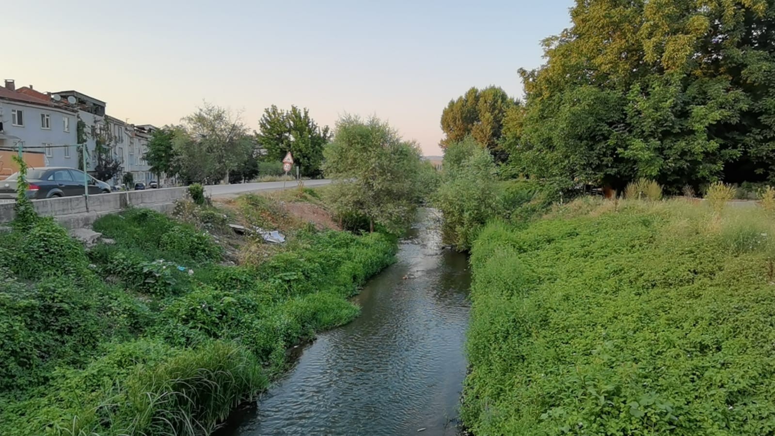 Bursa’da balık ölümleri