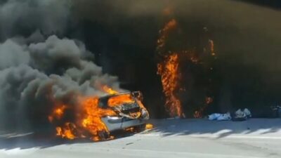 Bursa’da yangın paniği! Ormana sıçradı