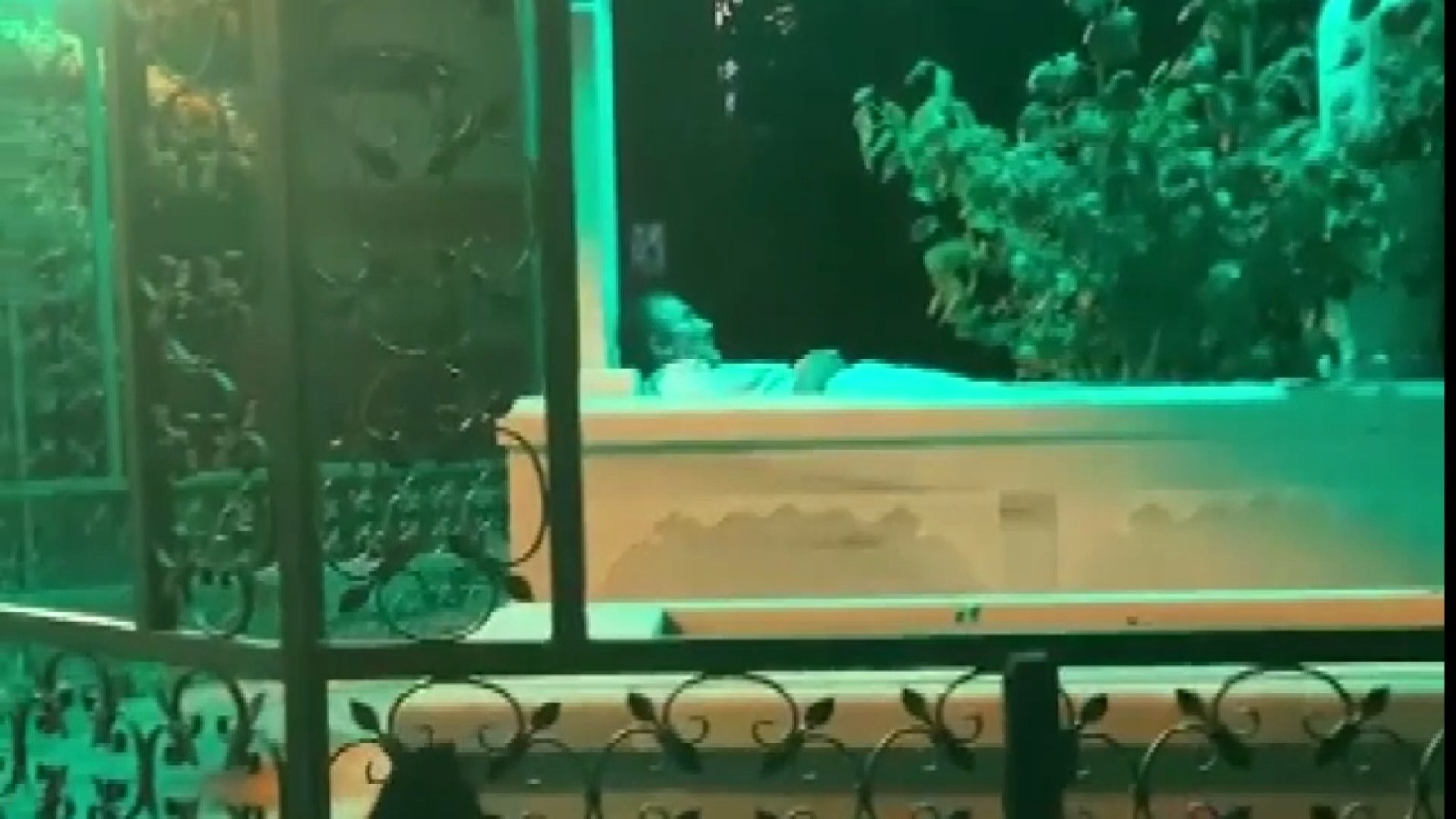 Bursa’da ‘yatır benim’ dedi, içine girdi Bursa’da ‘yatır benim’ dedi, içine girdi