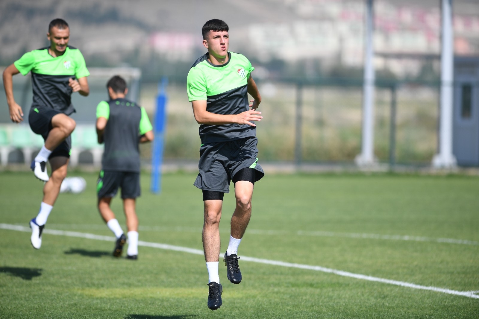 Timsah harıl harıl Timsah harıl harıl