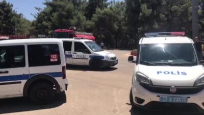 Kafesinden kaçan aslan etkisiz hale getirildi