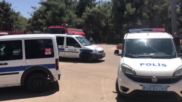 Kafesinden kaçan aslan etkisiz hale getirildi