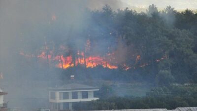 Antalya Manavgat’taki yangın kontrol altında