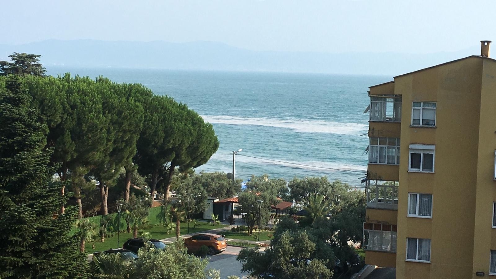 Görüntü Bursa sahillerinden! Kâbus geri döndü