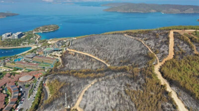Alevler otele sıçramıştı! Son hali havadan görüntülendi