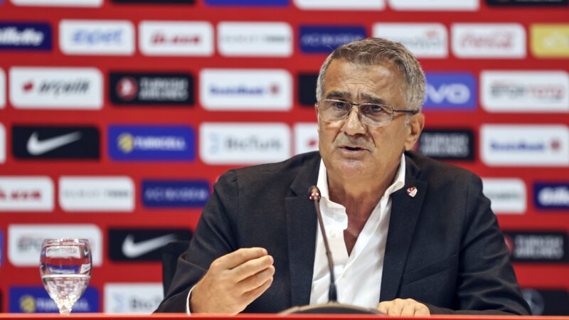 Türkiye Futbol Federasyonu (TFF), A Milli Takım Teknik Direktörü Şenol
