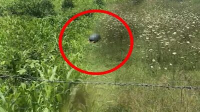 İğrenç olayda flaş gelişme!